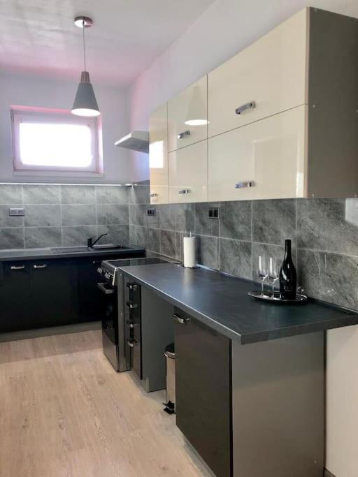 Spacious Apartment Near Hockey And Football Arena Братислава Экстерьер фото